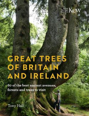 Great Trees of Britain and Ireland: 60 of the best ancient avenues, forests and trees to visit - Tony Hall - cover
