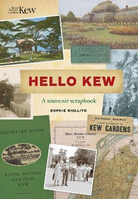 Hello Kew: A souvenir scrapbook - Sophie Shillito - cover