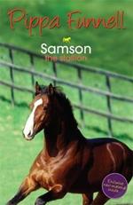 Tilly's Pony Tails: Samson: Book 4