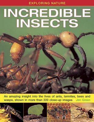Exploring Nature: Incredible Insects: An Amazing Insight into the Lives of Ants, Termites, Bees and Wasps, Shown in More Than 220 Close-up Images - Jen Green - cover
