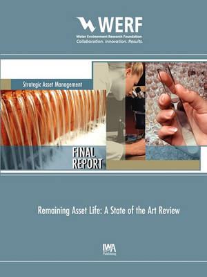 Remaining Asset Life: A State of the Art Review - David Marlow,Paul Davis,Dung Trans - cover