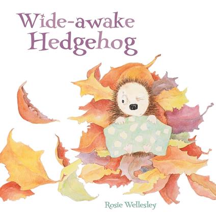 Wide-awake Hedgehog - Rosie Wellesley - ebook