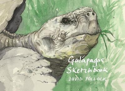 Galápagos Sketchbook - David Pollock - cover