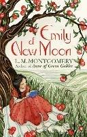 Emily of New Moon: A Virago Modern Classic