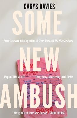 Some New Ambush - Carys Davies - cover