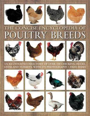 Concise Encyclopedia of Poultry Breeds - Fred Hams - cover