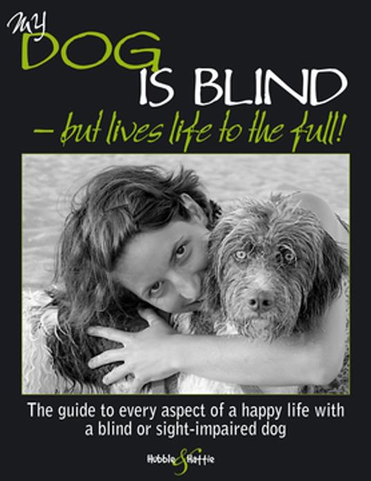 My dog is blind – but lives life to the full!