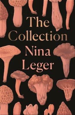 The Collection - Nina Leger - cover