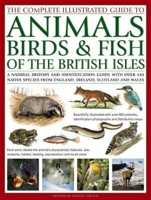 The Complete Illustrated Guide to Animals, Birds & Fish of the British Isles: A Natural History and Identification Guide with Over 440 Native Species from England, Ireland, Scotland and Wales - Daniel Gilpin - cover