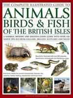 The Complete Illustrated Guide to Animals, Birds & Fish of the British Isles: A Natural History and Identification Guide with Over 440 Native Species from England, Ireland, Scotland and Wales