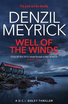 Well of the Winds: A D.C.I. Daley Thriller - Denzil Meyrick - cover