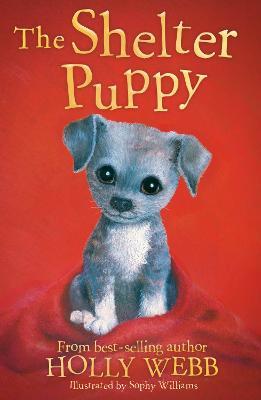 The Shelter Puppy - Holly Webb - cover