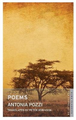 Poems - Antonia Pozzi - cover