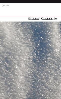 Ice - Gillian Clarke - cover