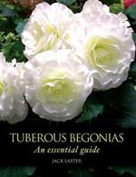 Tuberous Begonias: An Essential Guide