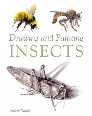 Drawing and Painting Insects - Andrew Tyzack - cover