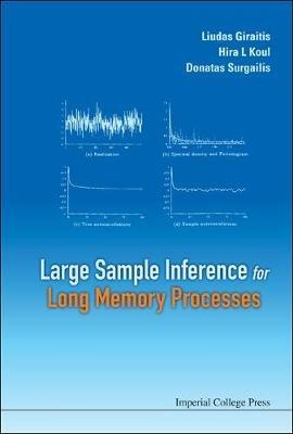 Large Sample Inference For Long Memory Processes - Donatas Surgailis,Hira L Koul,Liudas Giraitis - cover