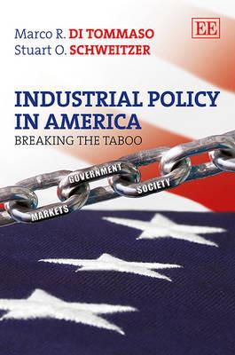 Industrial Policy in America: Breaking the Taboo - Marco R. Di Tommaso,Stuart O. Schweitzer - cover