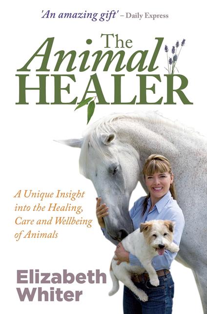The Animal Healer