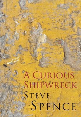 A Curious Shipwreck - Steve Spence - cover