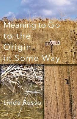 Meaning to Go to the Origin in Some Way - Linda Russo - cover