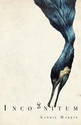 Incognitum - Aubrie Marrin - cover