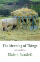The Meaning of Things - Elaine Randell - cover
