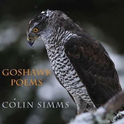 Goshawk Poems - Colin Simms - cover