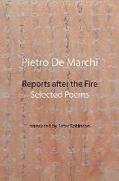 Reports after the Fire: Selected Poems