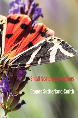 Small-Scale Observations - James Sutherland-Smith - cover