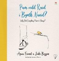 Pam oedd Raid i Bopeth Newid? / Why Did Everything Have to Change - Anna Friend - cover
