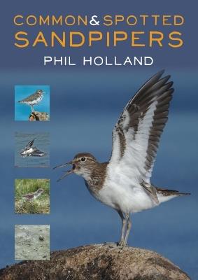 Common and Spotted Sandpipers - Phil Holland - cover