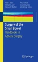 Surgery of the Small Bowel: Handbooks in General Surgery - cover