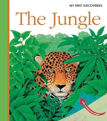 The Jungle - René Mettler - cover