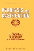 Pyrolysis and Gasification - cover