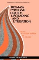 Biomass Pyrolysis Liquids Upgrading and Utilization - cover