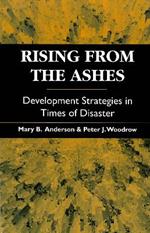 Rising from the Ashes: Development strategies in times of disaster