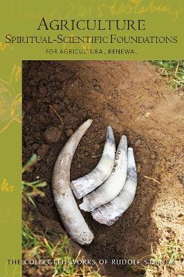 Agriculture, Spiritual-Scientific Foundations: for Agricultural Renewal - Rudolf Steiner - cover
