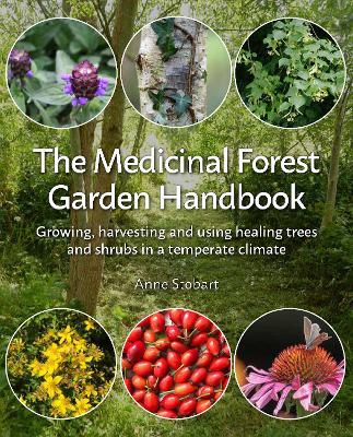 The Medicinal Forest Garden Handbook: Growing, harvesting and using healing trees and shrubs in a temperate climate - Anne Stobart - cover