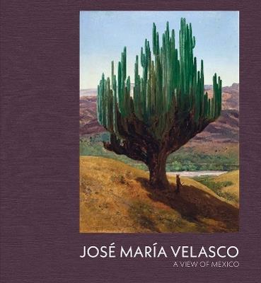 Jose Maria Velasco: A View of Mexico - Dexter Dalwood,Daniel Sobrino Ralston - cover