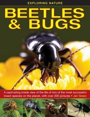 Exploring Nature: Beetles & Bugs - Jen Green - cover