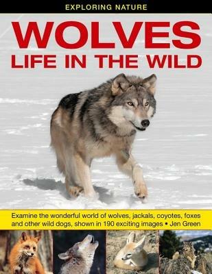 Exploring Nature: Wolves - Life in the Wild: Examine the Wonderful World of Wolves, Jackals, Coyotes, Foxes and Other Wild Dogs, Shown in 190 Exciting Images - Jen Green - cover