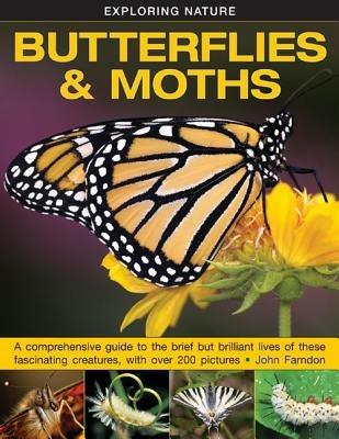 Exploring Nature: Butterflies & Moths - Farndon John - cover