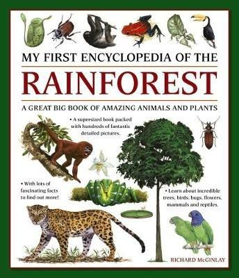 My First Encyclopedia of the Rainforest: A Great Big Book of Amazing Animals and Plants - cover