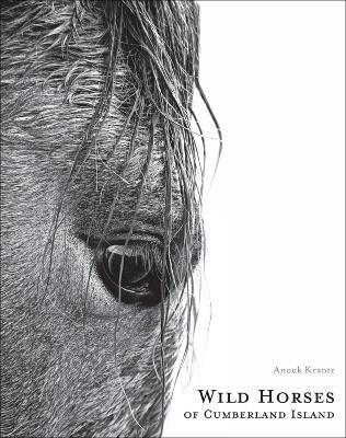 Wild Horses of Cumberland Island - Anouk Masson Krantz - cover
