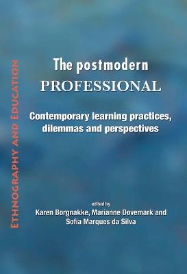 The Postmodern Professional: Contemporary Learning Practices, Dilemmas and Perspectives - cover