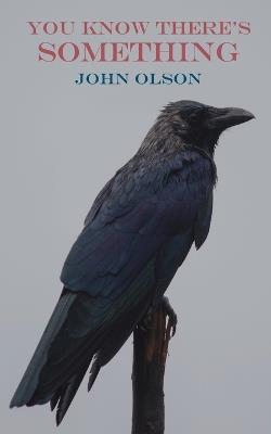 You Know There's Something - John Olson - cover