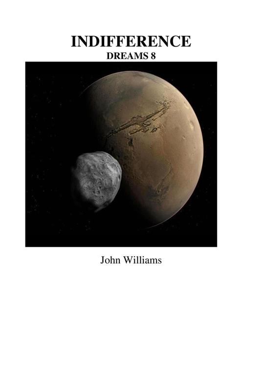 Indifference - John Williams - ebook