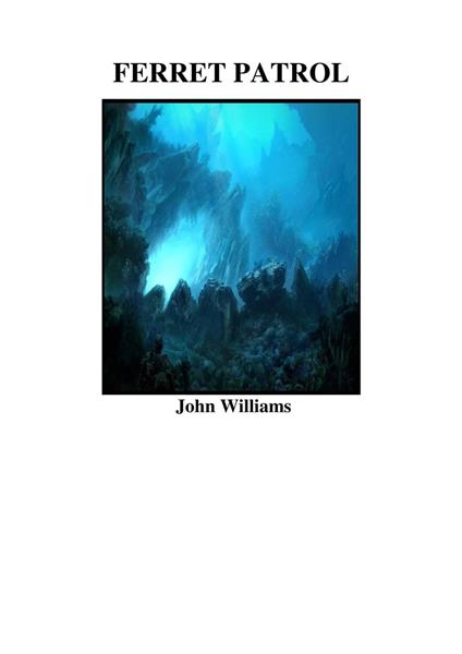 Ferret Patrol - John Williams - ebook