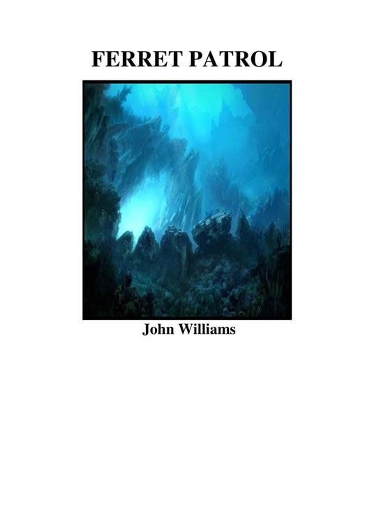Ferret Patrol - John Williams - ebook